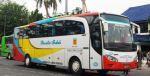 Bus Rosalia Indah Harga Terbaru